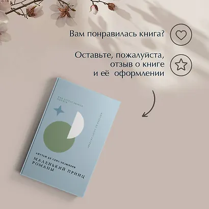 Маленький принц. Романы - фото 10