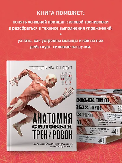 Анатомия силовых тренировок - фото 6