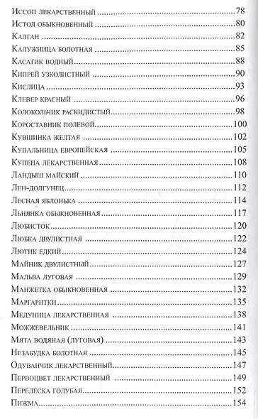Глаза России/Сборник стихов - фото 4