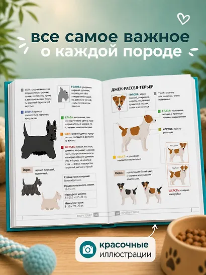 Собаки. 80 самых популярных пород. Иллюстрированный определитель - фото 5