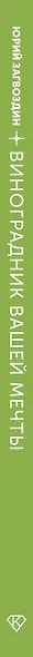 Виноградник вашей мечты. Простое руководство по выращиванию в любом уголке России - фото 5