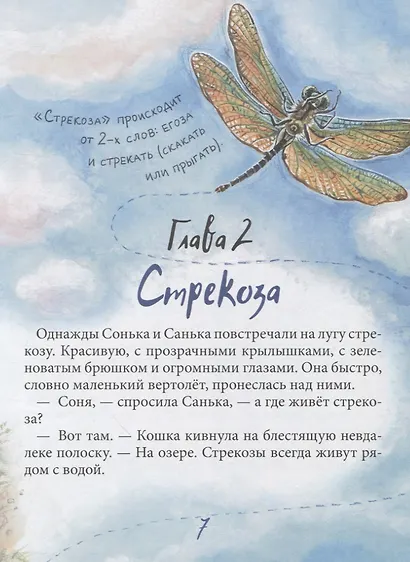 Санька и Сонька - фото 5