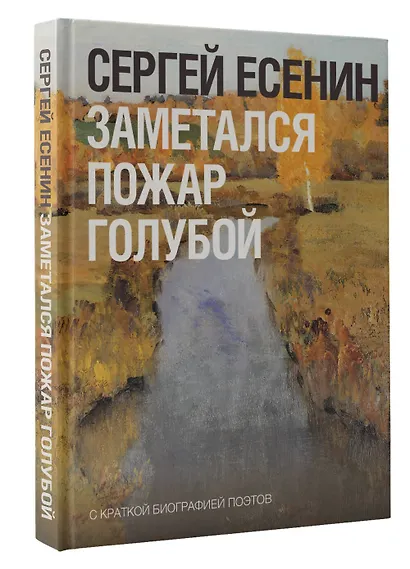 Заметался пожар голубой - фото 3