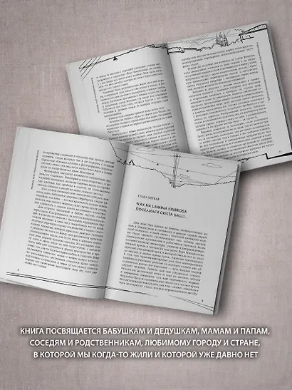 Дети Воинова. Коммунальные конфорки - фото 4