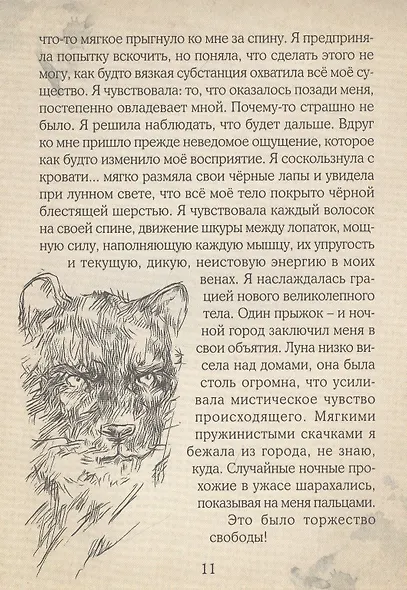 Сияние моего пути - фото 4