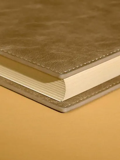 Ежедневник недат. А5+ 160л "Фланстер" бежевый, мягк.переплёт, иск.кожа, ляссе, подар.карт.коробка с ПВХ-крышкой - фото 8