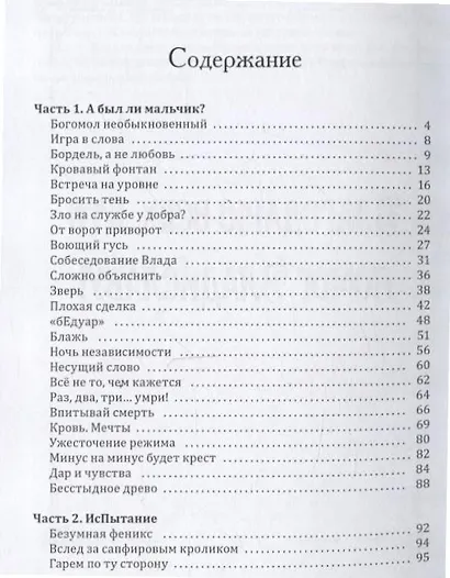 Владислав и Зверь: роман - фото 3