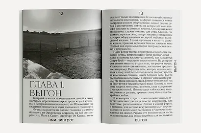 Выгон - фото 5