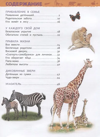 Детеныши животных - фото 2