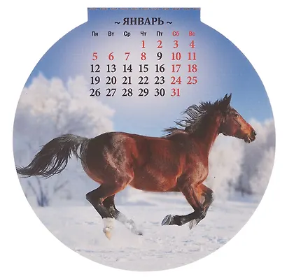 Календарь 2026г 140*148 "Год Лошади. Вид 1" на магните - фото 3