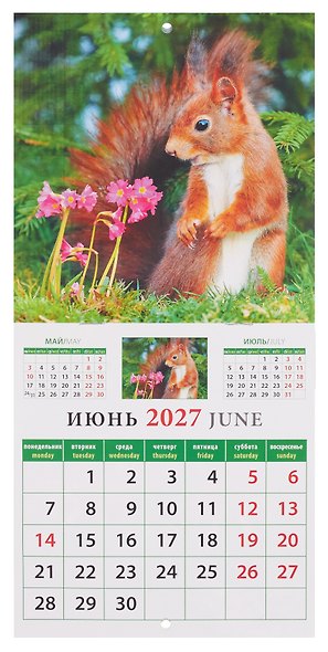Календарь 2027г 160*170 «Календарь природы» настенный, на скрепке - фото 5