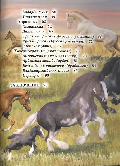 Лошади - фото 3