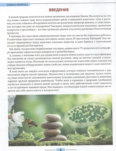 Живая природа - фото 3