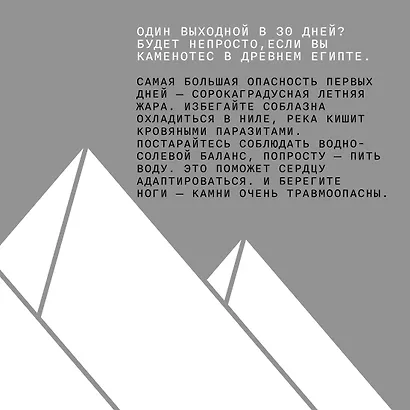 Выживание (не) гарантировано. Путешествие во времени вместе с историком - фото 7