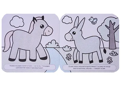 В деревне - фото 5