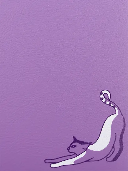 Дневник школьный "Кот" - фото 7