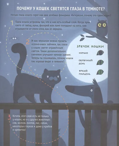 Как устроена природа - фото 4