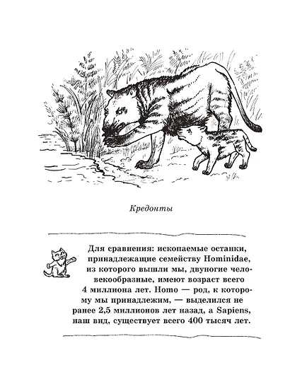 Кошка. Полное руководство по воспитанию и уходу - фото 9