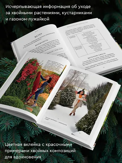 Энциклопедия хвойных растений. Вечнозелёные долгожители в вашем саду - фото 5