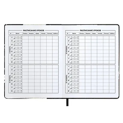 Дневник шк. "ГОНКИ" кожзам, тв.переплёт, поролон, шелкография в одну краску, одно ляссе, загругл.углы, универс.шпаргалка - фото 5