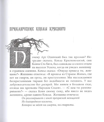 Лики Ирландии. Книга сказаний - фото 3