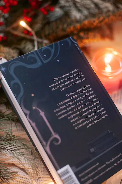 Шесть зимних ночей - фото 10