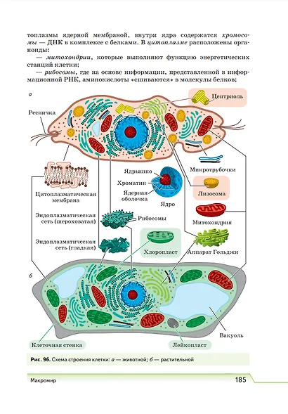 Естествознание. 10 класс. Учебник. Базовый уровень - фото 6