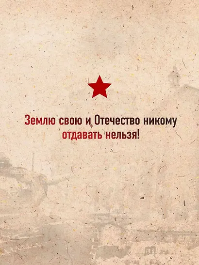 Проект Владимира Мединского. Война. Герои и подвиги - фото 6