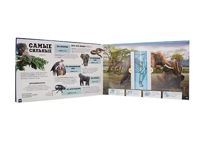 Чудо-животные - фото 4