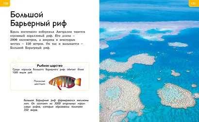 Новая энциклопедия для любознательных - фото 10