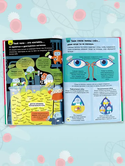 Тело человека - фото 6