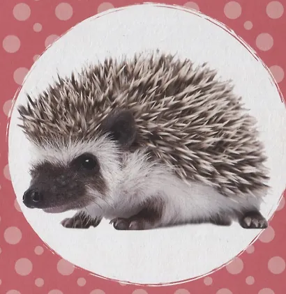 Кто как говорит? - фото 3