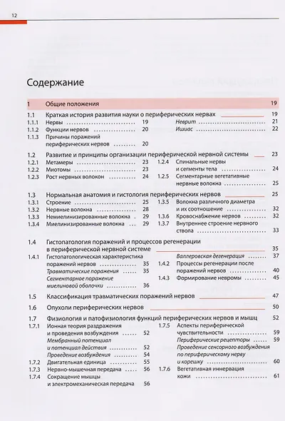 Поражение периферических нервов и корешковые синдромы - фото 2