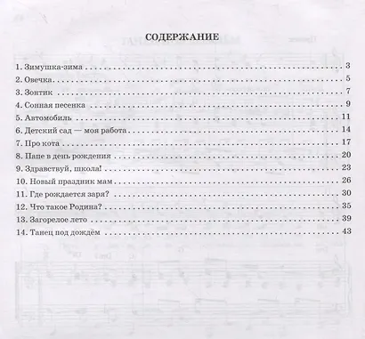 Песенная страна:песни для детей дошкол,млад.и сред.школ.возраста - фото 2