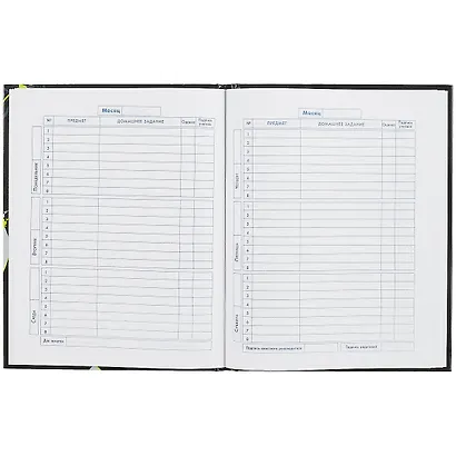 Дневник для средних и старших классов Феникс+, "Граффити" - фото 2