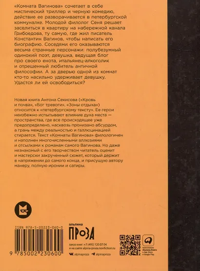 Комната Вагинова - фото 2