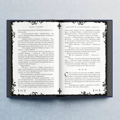 Костер и Саламандра. Книга 1 - фото 6