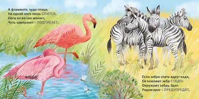 Загадки-рифмы. Кто как спит - фото 6