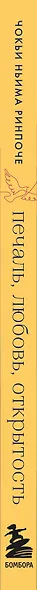 Печаль, любовь, открытость. Буддийский путь радости - фото 5