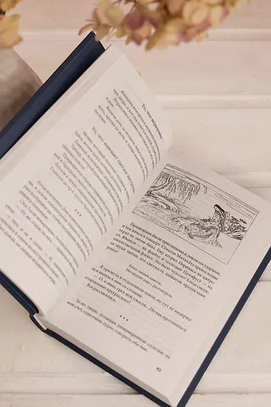 Сияние полной луны: Японские лирические дневники - фото 13