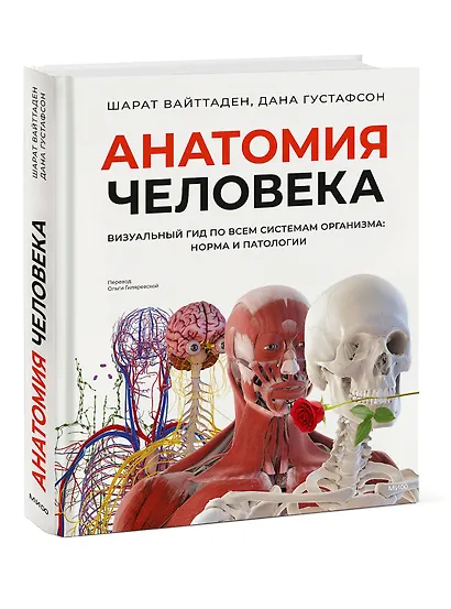 Анатомия человека. Визуальный гид по всем системам организма: норма и патологии - фото 3