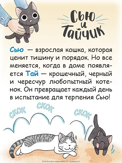 Сью и Тайчик. Том 1. Манга - фото 6