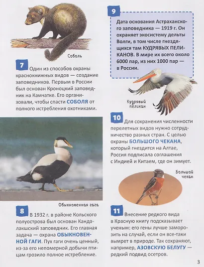 Красная книга России. Энциклопедия российского школьника - фото 4