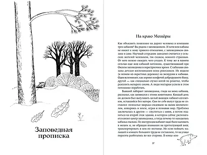 Гнездо кабана: Истории из заповедника - фото 3