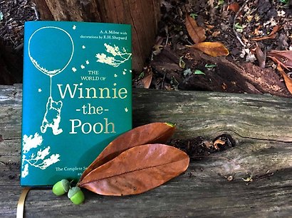 Winnie the Pooh. The world of Winnie the Pooh - фото 3