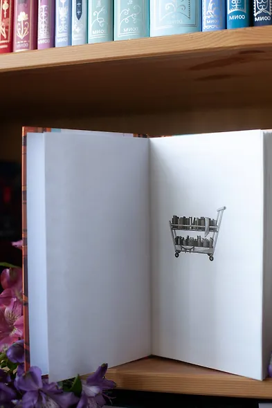 Девушка из книжного - фото 9