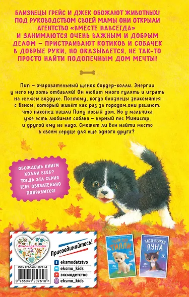 Дом мечты для Пипа (выпуск 2) - фото 2