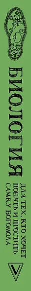 Биология для тех, кто хочет понять и простить самку богомола - фото 4