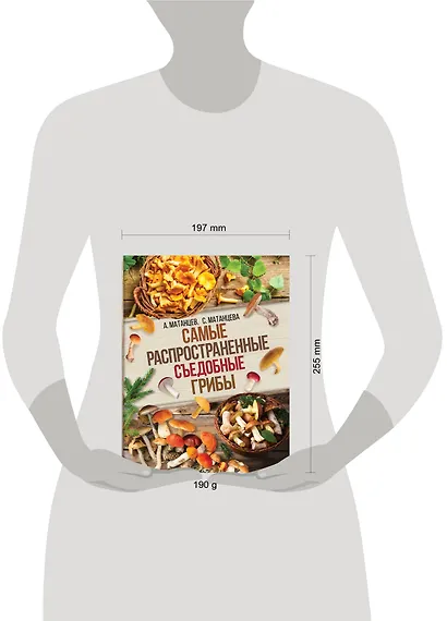 Самые распространенные съедобные грибы - фото 3