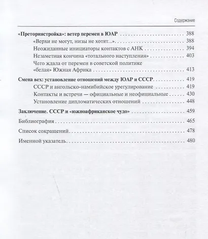 Россия и Южная Африка: наведение мостов - фото 4